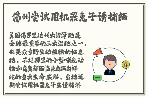 快播你懂的