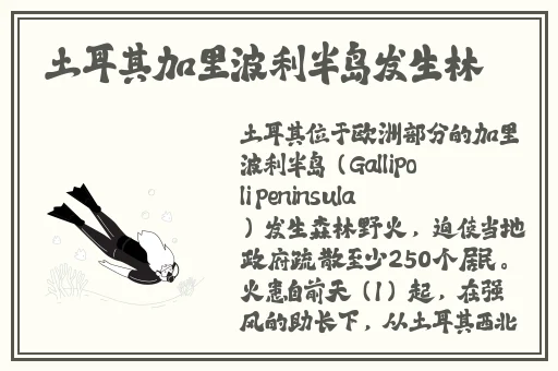 17ccgcg吃瓜网在线观看